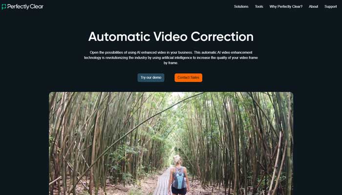 Perfectly Clear Video